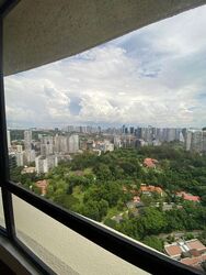 The Draycott (D10), Apartment #435664761